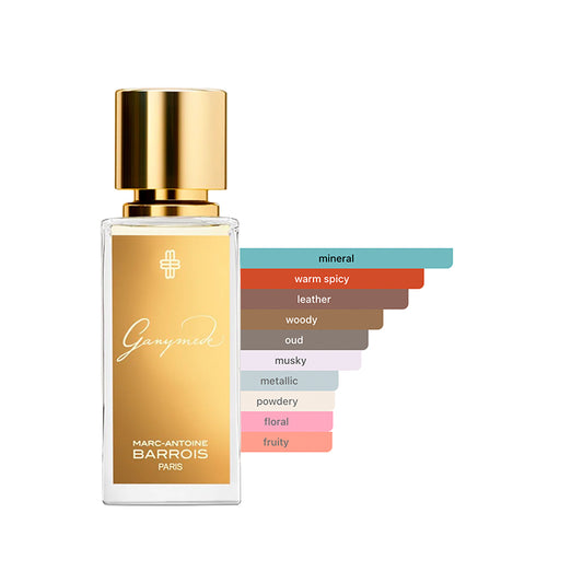 Marc-Antoine Barrois - Ganymede Sample