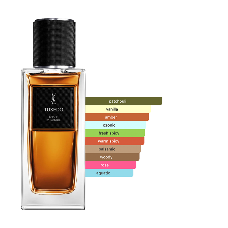 YSL BabyCat & Tuxedo Sample Set